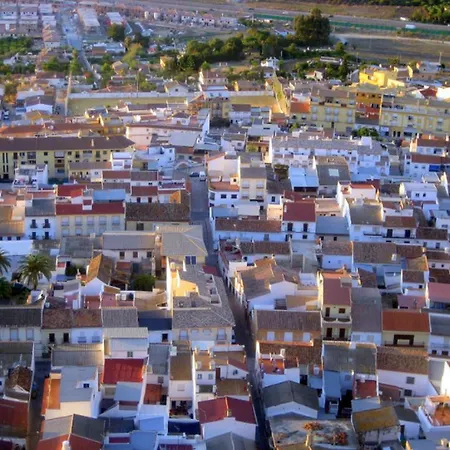 Calle Naranjos Apartment